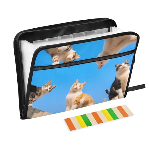 Cat Group Fächermappe mit 13 Fächern und Etiketten, A4, Dokumenten-Organizer mit Reißverschluss Cat Group Fächermappe mit 13 Fächern und Etiketten, A4, Dokumenten-Organizer mit Reißverschluss von Nexawaveo
