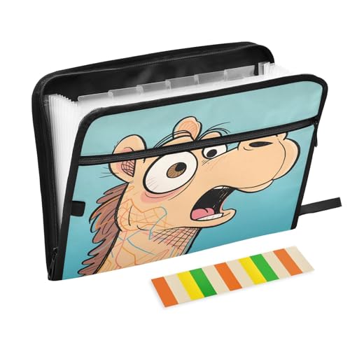 Comic Akkordeon-Aktenordner, 13 Fächer, erweiterbar, mit Etiketten, für Rechnungen, Quittungen, Dokumente, Kamelblau von Nexawaveo