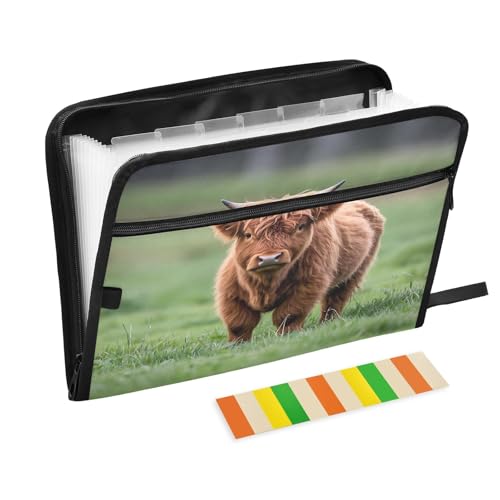 Cute Little Cattle Fächermappe mit Reißverschluss, 13 Taschen, Akkordeon-Dokumenten-Organizer für Arbeit und Zuhause Cute Little Cattle Fächermappe mit Reißverschluss, 13 Taschen, Akkordeon-Dokumenten-Organizer für Arbeit und Zuhause von Nexawaveo