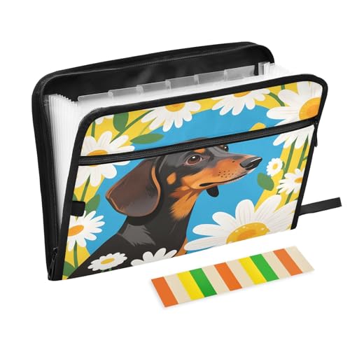 Daisy Dog Fächermappe mit 13 Fächern, A4, mit Reißverschluss, Blau und Gelb von Nexawaveo