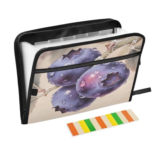 Fächermappe mit 13 Fächern, A4, Dokumenten-Organizer mit Reißverschluss, Motiv: Beeren, Violett Fächermappe mit 13 Fächern, A4, Dokumenten-Organizer mit Reißverschluss, Motiv: Beeren, Violett von Nexawaveo