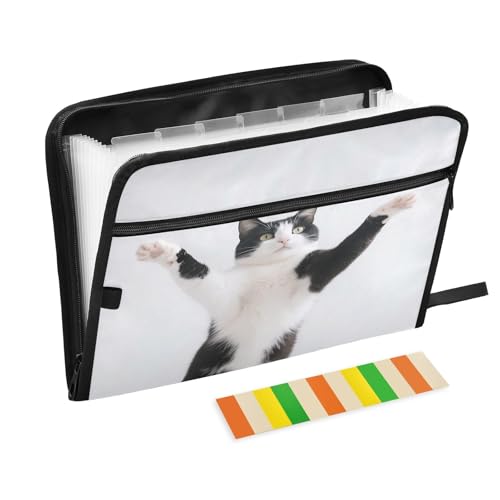 Funny Cat Jumping Akkordeon-Aktenordner, 13 Fächer, erweiterbarer Aktenordner mit Etiketten, Rechnungen, Quittungen, Dokumentenhalter Funny Cat Jumping Akkordeon-Aktenordner, 13 Fächer, erweiterbarer Aktenordner mit Etiketten, Rechnungen, Quittungen, Dokumentenhalter von Nexawaveo