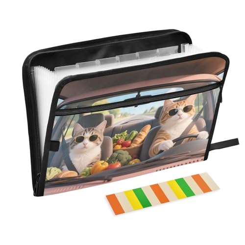 Funny Cats Akkordeon-Aktenordner mit 13 Fächern, erweiterbar, mit Etiketten, Rechnungen, Quittungen, Dokumentenhalter von Nexawaveo