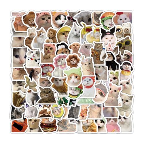 Tolles GeschenkWasserfeste Katzenaufkleber, Katzenaufkleber für Kinder - 100 Stück lustige Aufkleber mit Katzenmotiv,Katzen-Wasserflaschenaufkleber, klarer Druck für Erwachsene und Jugendliche Tolles GeschenkWasserfeste Katzenaufkleber, Katzenaufkleber für Kinder - 100 Stück lustige Aufkleber mit Katzenmotiv,Katzen-Wasserflaschenaufkleber, klarer Druck für Erwachsene und Jugendliche von Nexusectar