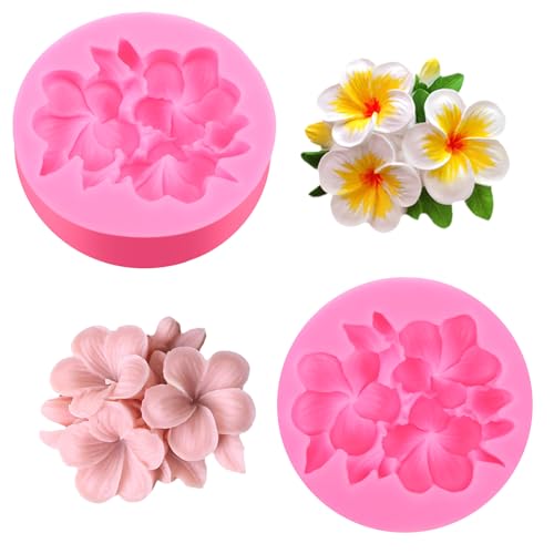 2 Stück Silikonforme Blumen，3D Kerzen Silikonformen，Frangipani Silikonform Kerzen, Süße Rosa Gießformen für Kuchendekoration DIY Seife Kerzenherstellung Fondant von Neyauo