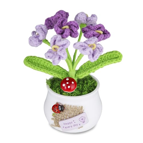 Nhemeylp Häkelblumen, kleine Topfpflanzen, gefälschte Vergissmeinnicht, Blumen für Freunde, Familienliebhaber, Häkelblumenstrauß, künstliche, handgefertigte Strickpflanzen, Schreibtischdekoration für Nhemeylp Häkelblumen, kleine Topfpflanzen, gefälschte Vergissmeinnicht, Blumen für Freunde, Familienliebhaber, Häkelblumenstrauß, künstliche, handgefertigte Strickpflanzen, Schreibtischdekoration für von Nhemeylp
