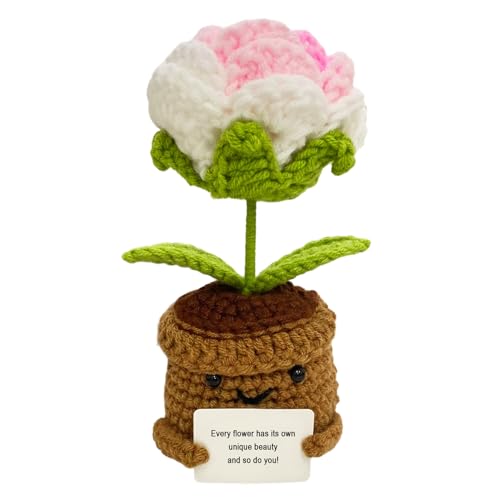 Nhemeylp Positive Häkelblumen, positive Rose, lustige Strickblumen, Häkelpflanze mit Ermutigungskarte, handgefertigte emotionale Stützpflanze für Damen und Herren, Heimbüro-Dekor (Rosa und Weiß) von Nhemeylp