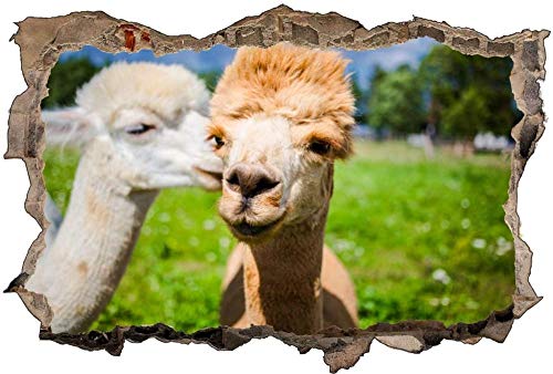 3D Beschädigten Wandsticker,Tierfotografie Alpaka Liebe, Kinderzimmer Babyzimmer Entfernbare Wandtattoos Wandbilder 80x120cm von Nian