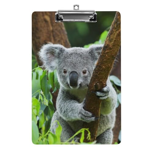 Klemmbretter für Kinder, Koala im Zoo-Druck, Acryl-Klemmbrett, leichtes Klemmbrett, A4-Größe, hält 21,6 x 32,5 cm, für Lehrer, Studenten, Frauen, Männer, Mädchen, Jungen Klemmbretter für Kinder, Koala im Zoo-Druck, Acryl-Klemmbrett, leichtes Klemmbrett, A4-Größe, hält 21,6 x 32,5 cm, für Lehrer, Studenten, Frauen, Männer, Mädchen, Jungen von Niapessel