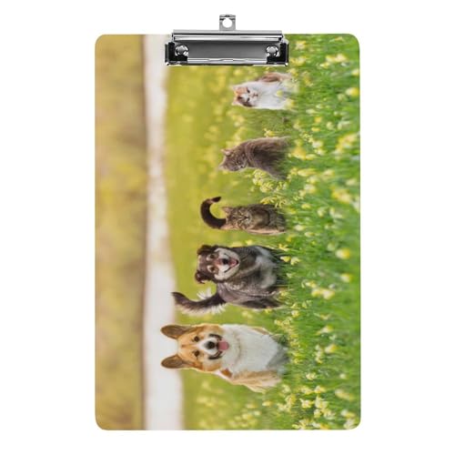 Klemmbretter für Kinder, niedlicher Hunde- und Katzendruck, Acryl-Klemmbrett, leichtes Klemmbrett, A4-Größe, hält 21,6 x 32,5 cm, für Lehrer, Studenten, Frauen, Männer, Mädchen, Jungen Klemmbretter für Kinder, niedlicher Hunde- und Katzendruck, Acryl-Klemmbrett, leichtes Klemmbrett, A4-Größe, hält 21,6 x 32,5 cm, für Lehrer, Studenten, Frauen, Männer, Mädchen, Jungen von Niapessel