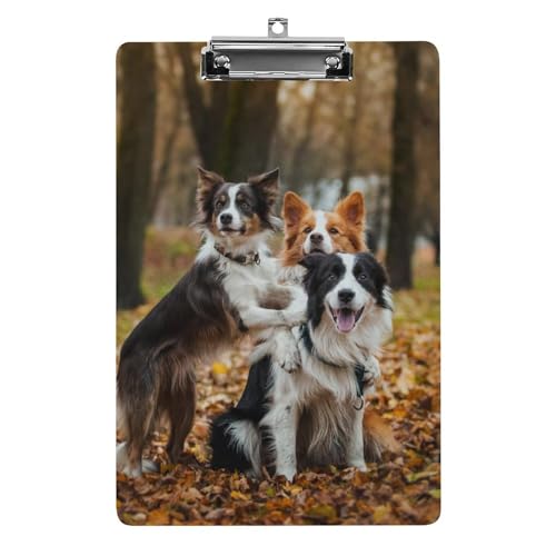 Klemmbretter für Kinder, niedliches Border Collie Hunde-Druck, Acryl-Klemmbrett, leichtes Klemmbrett, A4-Größe, hält 21,6 x 32,5 cm, für Lehrer, Studenten, Frauen, Männer, Mädchen, Jungen von Niapessel