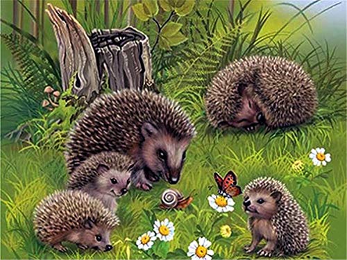Nicole Knupfer 5D DIY Igel Diamond Painting, Süße Tiere Diamant Painting Handwerk, Vollbohrer Gemälde für Home Wall Décor, 40x30cm (Igel4) von Nicole Knupfer