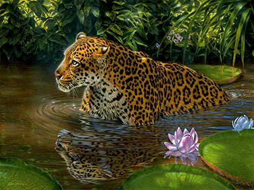 Nicole Knupfer 5D Diamant Painting,Tiger DIY Diamond Painting Tiger Full Bohrer Strass Bilder DIY Diamonds Malerei für Home Wand Dekor (I,50x70cm) von Nicole Knupfer