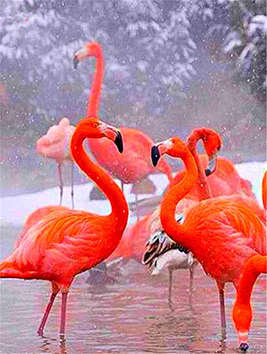Nicole Knupfer DIY Diamant Malerei 5d Diamond Painting Pink Flamingo Stickerei Malerei Kreuzstich Wanddekoration Kristall Strass Kunst Handwerk 30 * 40cm (L) von Nicole Knupfer