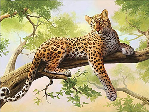 Nicole Knupfer DIY Diamant Painting, 5D Diamant Malerei Full Bohrer Strass Malerei Stickerei Bilder Tier Leopard Diamond Painting Kits (I,30x40cm) von Nicole Knupfer