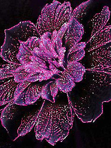 Nicole Knupfer DIY Diamant Painting Kit 5D Strass Diamond Painting Rose Blumen Bilder Full Bohrer Handgemachtes Wanddekoration (1,40x50cm) von Nicole Knupfer