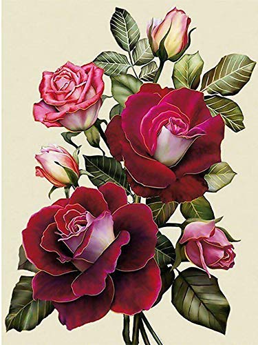 Nicole Knupfer DIY Diamant Painting Kit 5D Strass Diamond Painting Rose Blumen Bilder Full Bohrer Handgemachtes Wanddekoration (2,30x40cm) von Nicole Knupfer