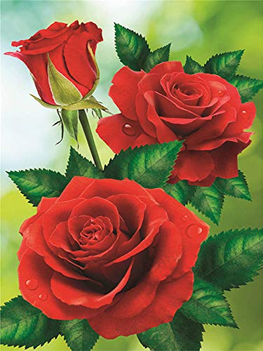 Nicole Knupfer DIY Diamant Painting Kit 5D Strass Diamond Painting Rose Blumen Bilder Full Bohrer Handgemachtes Wanddekoration (9,40x50cm) von Nicole Knupfer