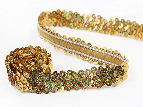 Nicole Knupfer DIY Paillettenband, 10Yard Paillettenborte Elastisch, breite 20mm Glänzende Paillettenbänder für Bastelprojekte, Tanzbekleidungen UVM (Laser Gold) von Nicole Knupfer