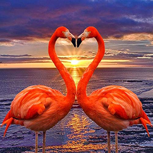 Nicole Knupfer Liebe Diamond Painting, Flamingo 5D Diamant Stickerei Full Drill DIY Dekoration Malerei Kreuzstich Kit Full Bilder groß (40x40cm) von Nicole Knupfer