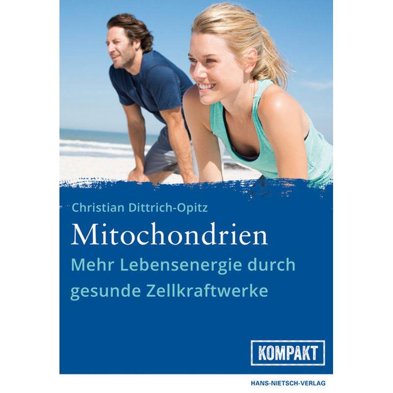 Mitochondrien - Christian Dittrich-Opitz, Kartoniert (TB) von Nietsch