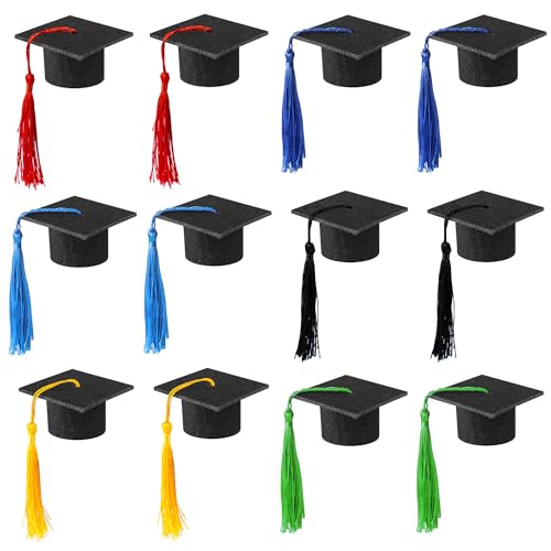 Niuhong Mini Weinflasche Deko Doktorhut Niedliche Mini Abschlusskappen Miniatur Weinflache Mützen Weinverschluss Hüte Kleiner Abschluss Cap Graduation Party Kappe Kunst DIY Handwerk (6 farben) von Niuhong
