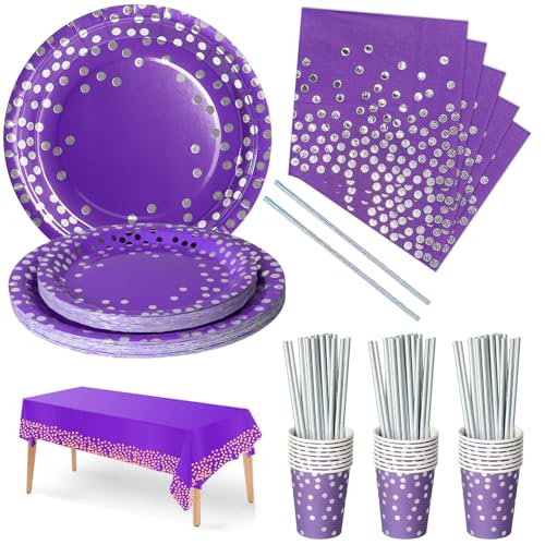 Nkaiso Partygeschirr Kindergeburtstag, 126 Stück Lila und Silber Pappteller Kindergeburtstag Mädchen Party Set mit Partyteller, Pappbecher, Servietten und Strohhalme für 25 Gäste von Nkaiso