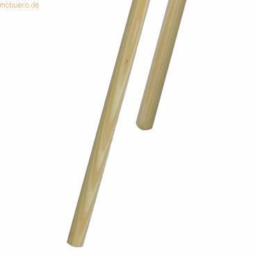 Nölle Profi Brush Besenstiel 10001619 24x1400mm roh ohne Gewinde von Nölle Profi Brush
