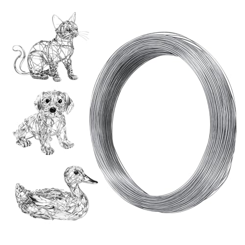Nogeqi 100M Metall Draht Dünn, 0.5mm Schmuckdraht Silber, Edelstahldraht Basteldraht Dünn Verzinkter Biegsamer für Heimwerken, Schmuckherstellung, Diy-Handwerk und Bildhauerei von Nogeqi