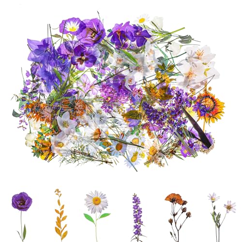 Nogeqi 120 Stück Blumen Sticker Transparente Flower Stickers, Scrapbooking Aufkleber Blumen Pflanzen Sticker, PET Wasserfeste Lila Blumenaufkleber für Scrapbook Fotoalbum Laptops von Nogeqi