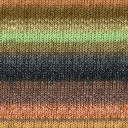 Noro Silk Garden Garn, Farben 2024/25 (545 - Yao) von Noro