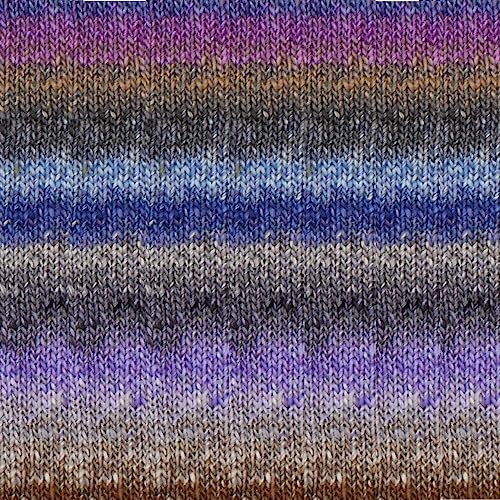 Noro Wolle Tsubame | Wolle mit Seide zum Stricken | Farbverlaufswolle zum Häkeln | 200g 600m (36 - Tama) von Noro