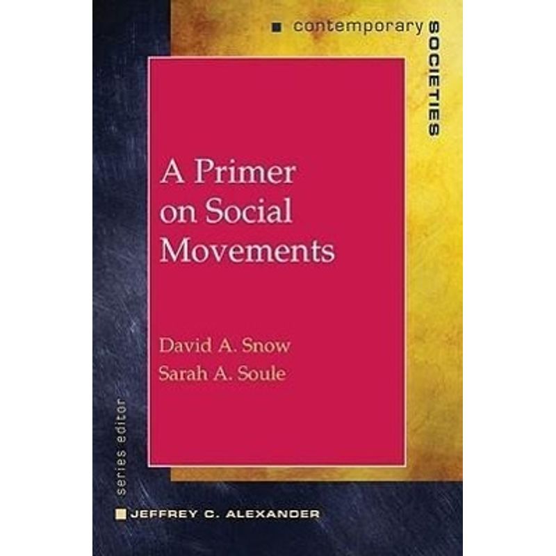 A Primer On Social Movements - David A. Snow, Sarah A. Soule, Taschenbuch von Norton & Company
