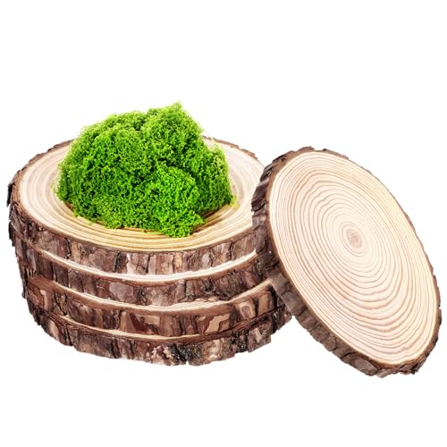 Nuanchu 4 Stück natürliche rustikale Holzscheiben mit 100 ml künstlichem grünem Moos für Tischaufsätze, 17,8 - 20,3 cm, unlackiertes Holz-Set für Hochzeit, Party, Dekoration, Waldtischdekoration Nuanchu 4 Stück natürliche rustikale Holzscheiben mit 100 ml künstlichem grünem Moos für Tischaufsätze, 17,8 - 20,3 cm, unlackiertes Holz-Set für Hochzeit, Party, Dekoration, Waldtischdekoration von Nuanchu