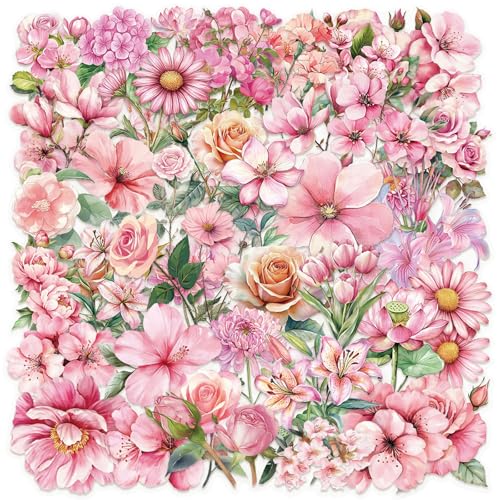 Nurila 50 Stück Scrapbook Stickers, Rosa Sticker Blumen, Kirschblüte, Pfirsichblüte, Lotus Sticker Set, Blumen Aufkleber für Sammelalben, Fotoalben, Tagebücher, Wasserflaschen, Notizbücher Nurila 50 Stück Scrapbook Stickers, Rosa Sticker Blumen, Kirschblüte, Pfirsichblüte, Lotus Sticker Set, Blumen Aufkleber für Sammelalben, Fotoalben, Tagebücher, Wasserflaschen, Notizbücher von Nurila