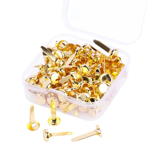 Nuyoah Musterbeutelklammern Gold Musterklammern Mini Brads Runde 100Stk Rundkopfklammern Metall Flügelklammern Klein 8x18mm für Schule Büro Papier Briefklammern Basteln Handwerk DIY Nuyoah Musterbeutelklammern Gold Musterklammern Mini Brads Runde 100Stk Rundkopfklammern Metall Flügelklammern Klein 8x18mm für Schule Büro Papier Briefklammern Basteln Handwerk DIY von Nuyoah
