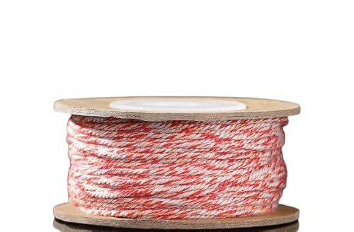 Nvzi Gedrehte Kordel, dekorative Kordel, Zierschnur, zum Basteln, 1,2 mm, 2 Stück, A15 Nvzi Gedrehte Kordel, dekorative Kordel, Zierschnur, zum Basteln, 1,2 mm, 2 Stück, A15 von Nvzi