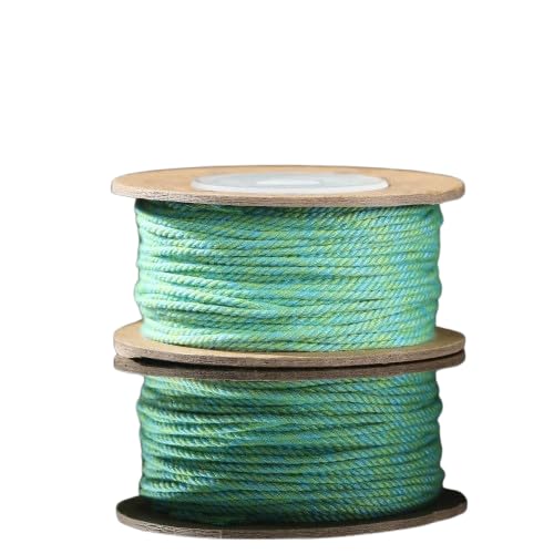Nvzi Gedrehtes Kordelseil, dekorative Kordel, zum Basteln, 1,2 mm, 2 Stück, A08 Nvzi Gedrehtes Kordelseil, dekorative Kordel, zum Basteln, 1,2 mm, 2 Stück, A08 von Nvzi