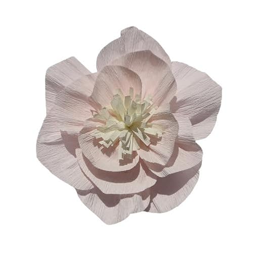 Nvzi Krepppapier-Blumendekoration für Wand, Blumen für Hochzeit, Blumen-Hintergrund, Babyparty, Geburtstagsparty, Fotohintergrund, Torbogen, Kinderzimmer, Pfirsichfarben, 3 Stück Nvzi Krepppapier-Blumendekoration für Wand, Blumen für Hochzeit, Blumen-Hintergrund, Babyparty, Geburtstagsparty, Fotohintergrund, Torbogen, Kinderzimmer, Pfirsichfarben, 3 Stück von Nvzi
