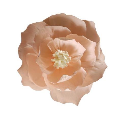 Nvzi Krepppapier-Blumendekoration für Wand, Blumen für Hochzeit, Blumen-Hintergrund, Babyparty, Geburtstagsparty, Fotohintergrund, Torbogen, Kinderzimmer, Pfirsichfarben, 6 Stück Nvzi Krepppapier-Blumendekoration für Wand, Blumen für Hochzeit, Blumen-Hintergrund, Babyparty, Geburtstagsparty, Fotohintergrund, Torbogen, Kinderzimmer, Pfirsichfarben, 6 Stück von Nvzi