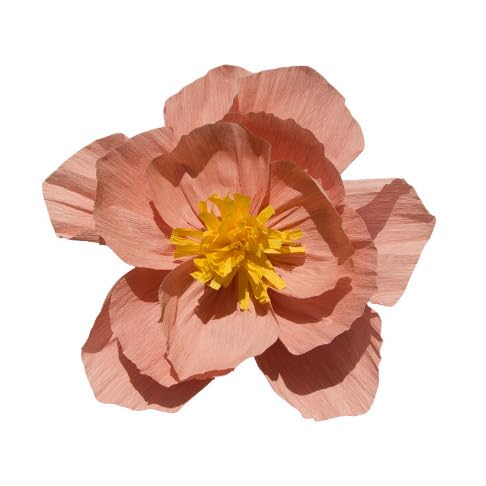 Nvzi Krepppapier-Blumendekoration für Wand, Blumen für Hochzeit, Blumen-Hintergrund, Babyparty, Geburtstagsparty, Fotohintergrund, Torbogen-Dekor, Kinderzimmer, Wanddekoration, Lotusrosa B, 25,4 cm Nvzi Krepppapier-Blumendekoration für Wand, Blumen für Hochzeit, Blumen-Hintergrund, Babyparty, Geburtstagsparty, Fotohintergrund, Torbogen-Dekor, Kinderzimmer, Wanddekoration, Lotusrosa B, 25,4 cm von Nvzi