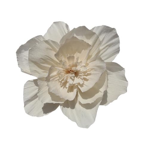 Nvzi Krepppapier-Blumendekoration für Wand, Blumen für Hochzeit, Blumen-Hintergrund, Babyparty, Geburtstagsparty, Fotohintergrund, Torbogen-Dekoration, Kinderzimmer, Beige, 10 Stück Nvzi Krepppapier-Blumendekoration für Wand, Blumen für Hochzeit, Blumen-Hintergrund, Babyparty, Geburtstagsparty, Fotohintergrund, Torbogen-Dekoration, Kinderzimmer, Beige, 10 Stück von Nvzi