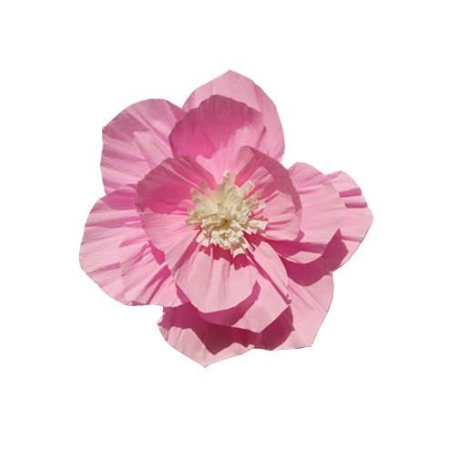 Nvzi Krepppapier-Blumendekoration für Wand, Blumen für Hochzeit, Blumen-Hintergrund, Babyparty, Geburtstagsparty, Fotohintergrund, Torbogen-Dekoration, Kinderzimmer, Rosa, 6 Stück Nvzi Krepppapier-Blumendekoration für Wand, Blumen für Hochzeit, Blumen-Hintergrund, Babyparty, Geburtstagsparty, Fotohintergrund, Torbogen-Dekoration, Kinderzimmer, Rosa, 6 Stück von Nvzi