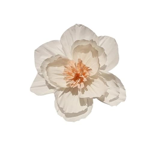 Nvzi Krepppapier-Blumendekoration für Wand, Blumen für Hochzeit, Blumen-Hintergrund, Babyparty, Geburtstagsparty, Fotohintergrund, Torbogen-Dekoration, Kinderzimmer, Weiß, 6 Stück Nvzi Krepppapier-Blumendekoration für Wand, Blumen für Hochzeit, Blumen-Hintergrund, Babyparty, Geburtstagsparty, Fotohintergrund, Torbogen-Dekoration, Kinderzimmer, Weiß, 6 Stück von Nvzi