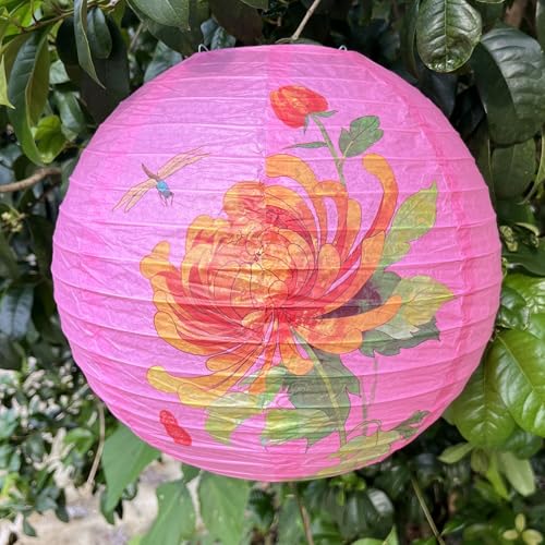 Nvzi Papierlaternen, dekorativ, hängende Papierlaternen, Laternen für drinnen und draußen, für Zuhause, Partys, Veranstaltungen, Dekoration (Rosa, 12 Stück) G von Nvzi