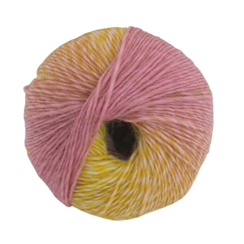 Nvzi Regenbogen-Garn, weich, 100 % Wolle, Farbverlauf, mehrfarbiges Garn zum Häkeln, Stricken, Gesamtlänge 180 m × 2,392 m, 100 g, U von Nvzi
