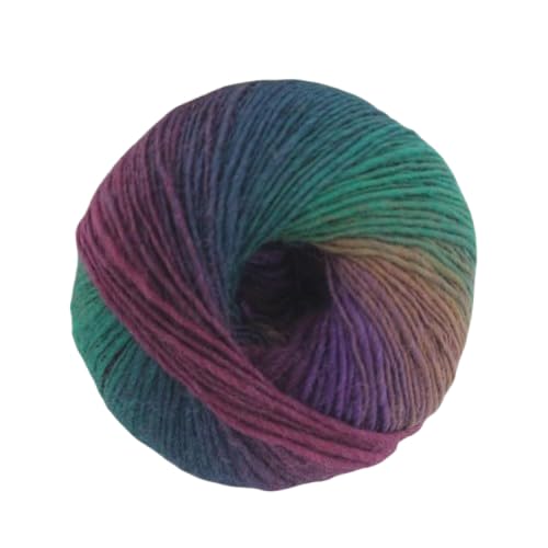Nvzi Regenbogen-Garn, weich, 100 % Wolle, Farbverlauf, mehrfarbiges Garn zum Häkeln, Stricken, Gesamtlänge 180 m × 4,784 m, 200 g, E von Nvzi