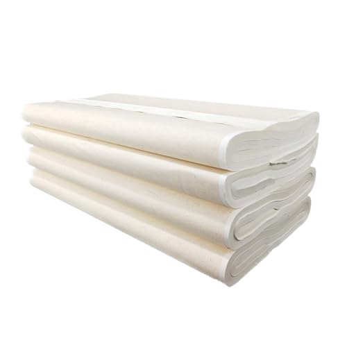 Nvzi -b Chinesisches japanisches Kalligraphie-Papier, Reispapier, Kalligraphie-Papier für Kalligraphie, Pinsel-Tinte, Malen ohne Raster, 100 Blatt/Beutel, 34,5 x 137,9 cm, halb roh, reifer Xuan Nvzi -b Chinesisches japanisches Kalligraphie-Papier, Reispapier, Kalligraphie-Papier für Kalligraphie, Pinsel-Tinte, Malen ohne Raster, 100 Blatt/Beutel, 34,5 x 137,9 cm, halb roh, reifer Xuan von Nvzi