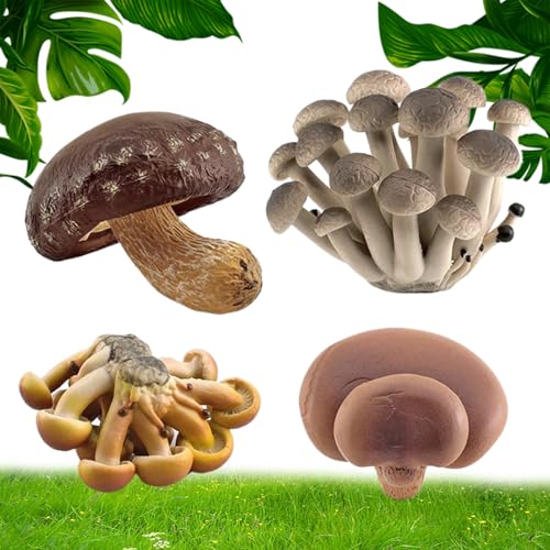 Nyutcwe 4pcs/Set Pilzfiguren Realistische falsche Pilze, umweltfreundliche Bildungsmilzendekorationen für Wissenschaftsprojekte Kinder Geburtstag Geschenklernen Spielzeug Lernen von Nyutcwe