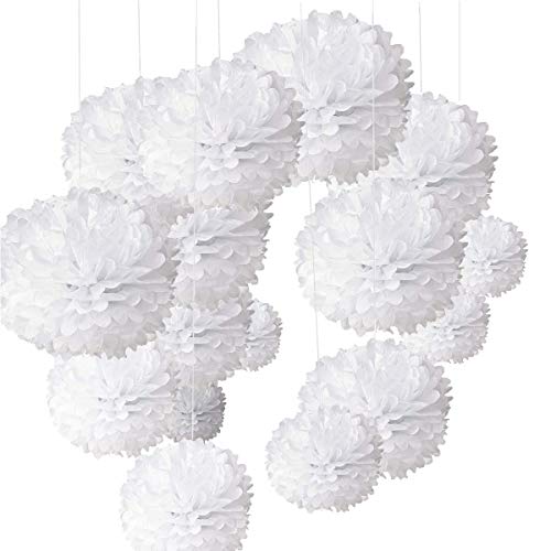 O-Kinee 24er Rosa Deko Seidenpapier Pompons für Hochzeit, Taufe Mädchen, Geburtstag, Party,Kommunion,Valentinstag Muttertag JGA Deko weiß O-Kinee 24er Rosa Deko Seidenpapier Pompons für Hochzeit, Taufe Mädchen, Geburtstag, Party,Kommunion,Valentinstag Muttertag JGA Deko weiß von O-Kinee